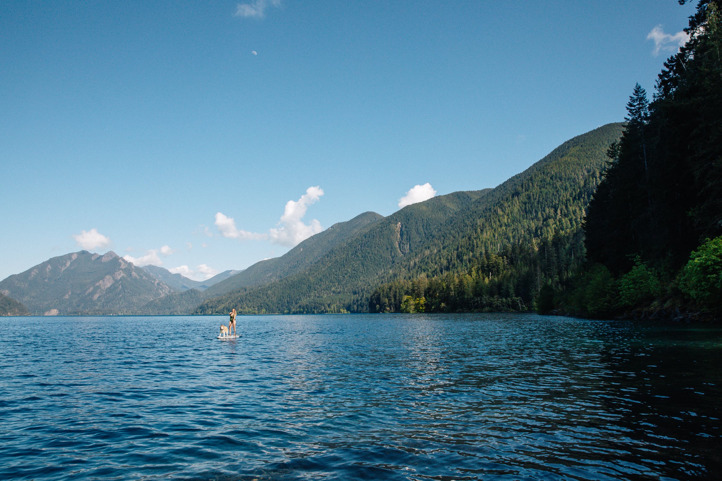 , 10 New Yr’s Resolutions To Attempt With Your SUP | ISLE